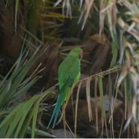 Appartement Perfect Flat For Your At South Tenerife